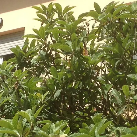 Appartamento Giulia *